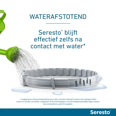 WATERAFSTOTEND. Seresto blijft effectief zelfs na contact met water*. Grijze halsband met waterdruppels en gieter. Seresto merknaam zichtbaar.