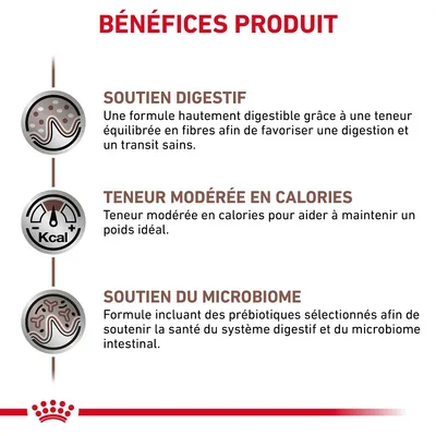 BÉNÉFICES PRODUIT : Soutien digestif, teneur modérée en calories, soutien du microbiome. Détails sur fibres, calories et prébiotiques pour la santé digestive et intestinale.
