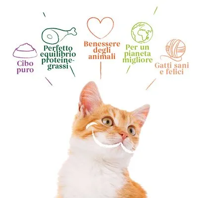 Yarrah Bio Filetti in Salsa 14 x 85 g