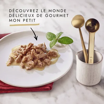 Texte : Découvrez le monde délicieux de Gourmet Mon Petit. Assiette avec morceaux en sauce, menthe fraîche et cuillères doseuses dorées visibles.
