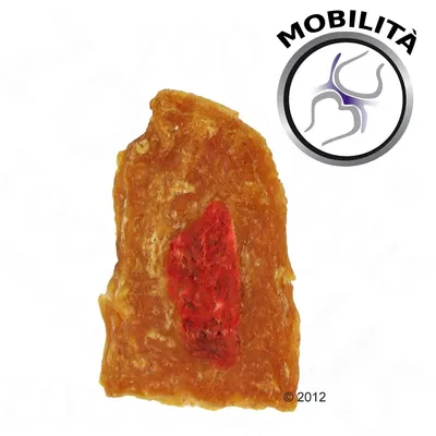 8in1 Fillets Pro Active