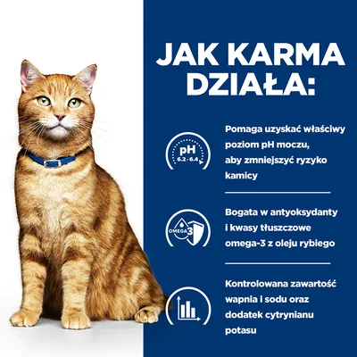 Jak karma działa: pomaga uzyskać pH moczu 6,2–6,4, bogata w antyoksydanty i omega-3 z oleju rybiego, kontrolowana zawartość wapnia, sodu i cytrynian potasu.