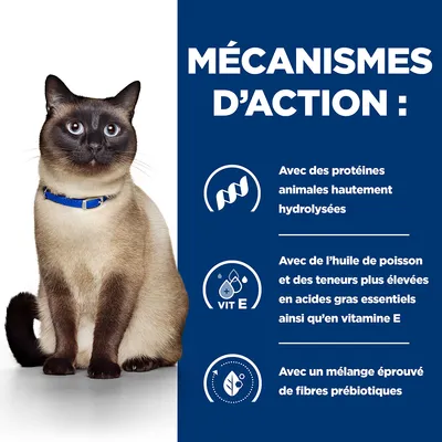 MÉCANISMES D’ACTION : Avec des protéines animales hautement hydrolysées, huile de poisson et vitamine E, mélange éprouvé de fibres prébiotiques. Chat avec collier bleu à gauche.