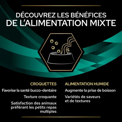Découvrez les bénéfices de l’alimentation mixte. Croquettes : santé bucco-dentaire, texture croquante, petits repas multiples. Humide : prise de boisson, variétés de saveurs et textures.