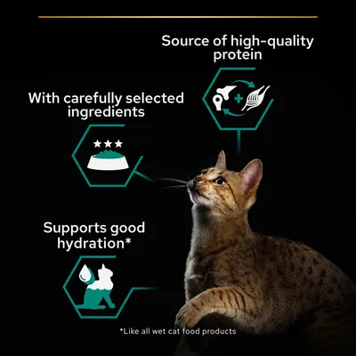 Angol nyelvű szöveg: Source of high-quality protein, With carefully selected ingredients, Supports good hydration*; csillagos tál, cica ikonok, barna macska. *Like all wet cat food products