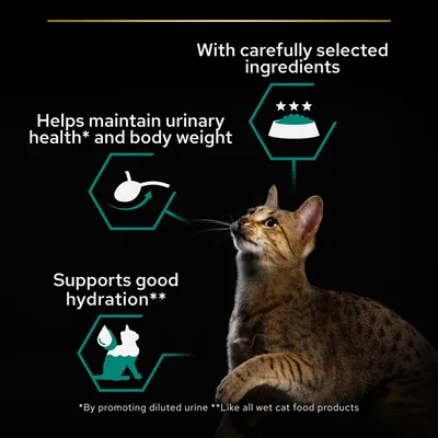 With carefully selected ingredients. Helps maintain urinary health* and body weight. Supports good hydration**. *By promoting diluted urine **Like all wet cat food products (angol nyelvű szöveg).