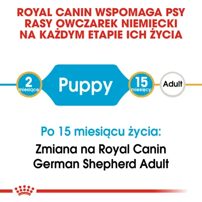 Royal Canin wspomaga psy rasy owczarek niemiecki na każdym etapie życia. Puppy 2–15 miesięcy, po 15 miesiącu zmiana na Royal Canin German Shepherd Adult.