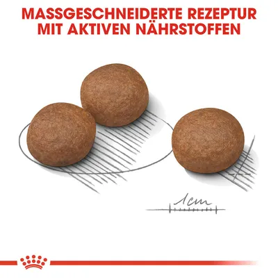Texte en allemand : MASSGESCHNEIDERTE REZEPTUR MIT AKTIVEN NÄHRSTOFFEN. Trois croquettes rondes, échelle de taille avec repère 1 cm.