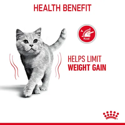 Health benefit: helps limit weight gain. Image shows a cat and a calorie icon, highlighting the product's role in managing calorie intake.