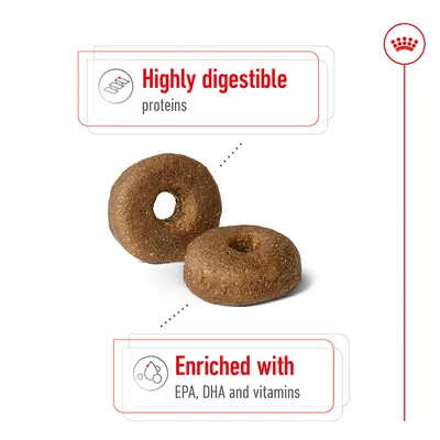 Product features: highly digestible proteins, enriched with EPA, DHA and vitamins. Image shows two round pieces of pet food.