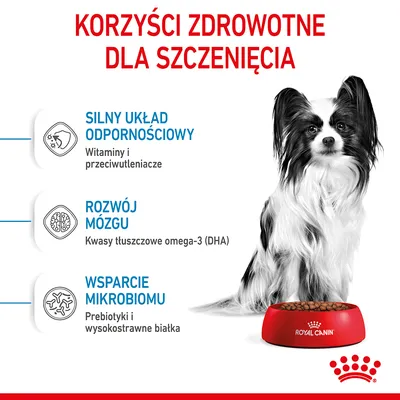 Korzyści zdrowotne dla szczenięcia: silny układ odpornościowy (witaminy i przeciwutleniacze), rozwój mózgu (kwasy tłuszczowe omega-3 DHA), wsparcie mikrobiomu (prebiotyki, białka). Korzyści zdrowotne dla szczenięcia: silny układ odpornościowy (witaminy i przeciwutleniacze), rozwój mózgu (kwasy tłuszczowe omega-3 DHA), wsparcie mikrobiomu (prebiotyki, białka).