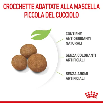 Crocchette adattate alla mascella piccola del cucciolo. Contiene antiossidanti naturali, senza coloranti artificiali, senza aromi artificiali.