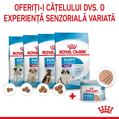 Pungi Royal Canin Puppy Mini, Medium, Maxi, Giant și conservă Starter pentru căței. Text: Oferiți-i cățelului dvs. o experiență senzorială variată.