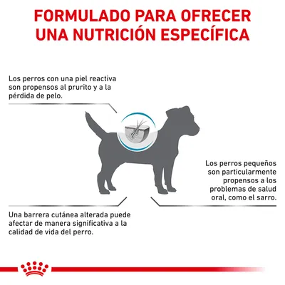 Formulado para ofrecer una nutrición específica. Los perros con piel reactiva son propensos al prurito y pérdida de pelo. Problemas de salud oral en perros pequeños. Barrera cutánea alterada afecta calidad de vida.