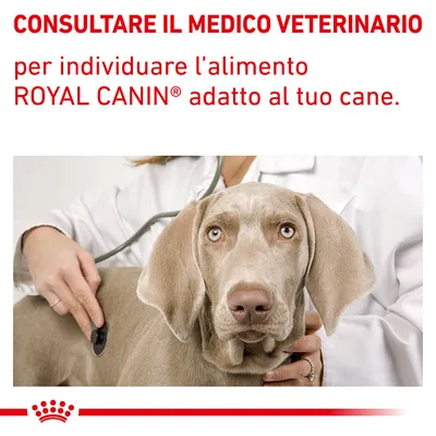 CONSULTARE IL MEDICO VETERINARIO per individuare l’alimento ROYAL CANIN adatto al tuo cane.