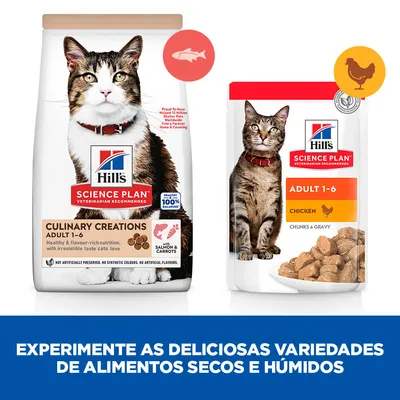 Duas embalagens de Hill's Science Plan para gatos adultos 1-6: Culinary Creations com salmão e cenouras, e Adult 1-6 Chicken. Texto: Experimente as deliciosas variedades de alimentos secos e húmidos.