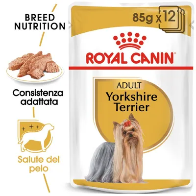 Royal Canin Adult Yorkshire Terrier 85g x12, consistenza adattata, salute del pelo. Immagine di cibo umido e cane Yorkshire Terrier sul fronte della confezione.