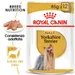 Royal Canin Yorkshire Terrier Adult Patè umido per cane