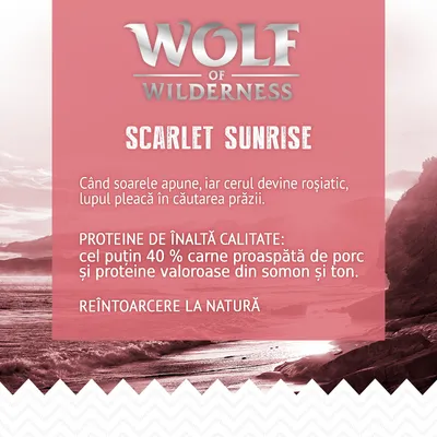 Wolf of Wilderness Scarlet Sunrise. Proteine de înaltă calitate: cel puțin 40 % carne proaspătă de porc și proteine valoroase din somon și ton. Reîntoarcere la natură.