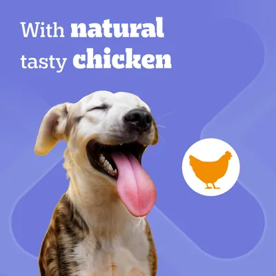 Pedigree Dentastix Daily Dental Sticks for Large Dogs (25kg+) - 4 Sticks (Chicken)