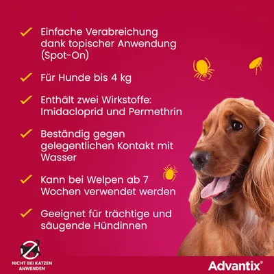 Advantix Spot-On für Hunde bis 4 kg. Wirkstoffe: Imidacloprid und Permethrin. Beständig gegen Wasser, geeignet für Welpen ab 7 Wochen sowie trächtige und säugende Hündinnen. Nicht bei Katzen anwenden.