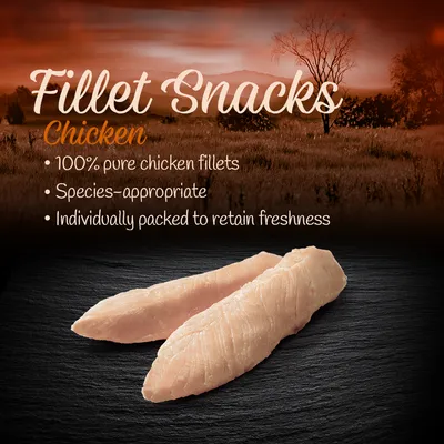 Fillet Snacks Chicken: 100% pure chicken fillets, species-appropriate, individually packed to retain freshness. Image shows two pieces of chicken fillet.