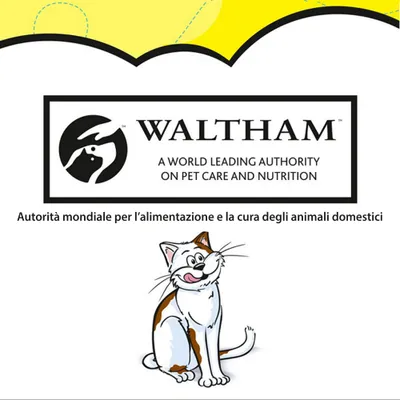 WALTHAM. A world leading authority on pet care and nutrition. Autorità mondiale per l’alimentazione e la cura degli pet. Testo in inglese e italiano.