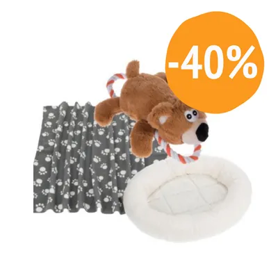 Set per animali: coperta grigia con impronte bianche, gioco peluche a forma di orso con corda, cuccia rotonda bianca. Sconto -40% visibile in un cerchio arancione.