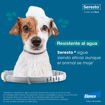 Seresto. El collar que libera. Resistente al agua. Seresto sigue siendo eficaz aunque el animal se moje. Elanco.