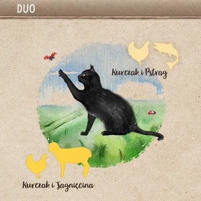 Ilustracja czarnego kota, tekst: Kurczak i Pstrąg oraz Kurczak i Jagnięcina z ikonami kurczaka, ryby i jagnięcia. Napis DUO u góry.