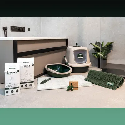 kooa productos para el cuidado de mascotas: empapadores de bambú para cachorros, arenero, comedero, alfombrilla, cepillo, toalla y aceites de cuidado. Materiales sostenibles para el cuidado animal.
