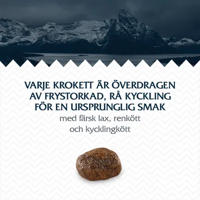 Varje krokett är överdragen av frystorkad, rå kyckling för en ursprunglig smak med färsk lax, renkött och kycklingkött.