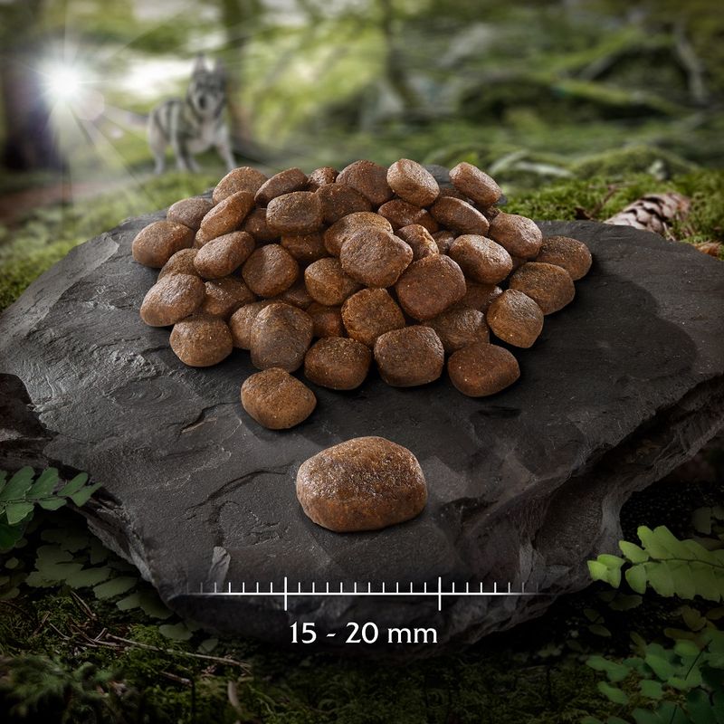 Wolf of Wilderness "RAW TASTE" 2 x 12 kg - Pack económico