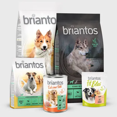 Briantos sortiment krmiva pro psy: suché krmivo, mokré krmivo a pamlsky. Viditelné varianty: Adult Lamb & Rice, Grain-Free Recipe s jehněčím a bramborem, Delicious Pâté a Fit Bites.