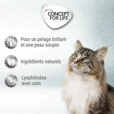 Concept for Life. Pour un pelage brillant et une peau souple. Ingrédients naturels. Lyophilisées avec soin. Chat à poils longs visible à droite.