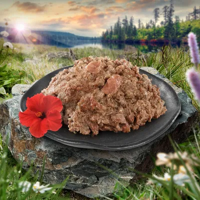 Nahaufnahme von Nassfutter auf einem schwarzen Teller, dekoriert mit einer roten Blume. Hintergrund zeigt eine Naturlandschaft mit Wald und See.