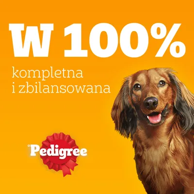 Pakiet mieszany Pedigree, saszetki, 24 x 100 g