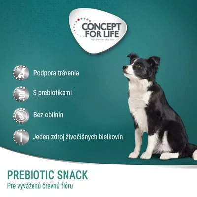 CONCEPT FOR LIFE. Podpora trávenia, s prebiotikami, bez obilnín, jeden zdroj živočíšnych bielkovín. PREBIOTIC SNACK – pre vyváženú črevnú flóru. Obrázok psa.