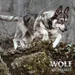 12 + 2 kg gratis! 14 kg Wolf of Wilderness - getreidefreie Rezeptur