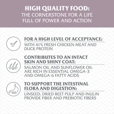 Wolf of Wilderness MINI  "Wild Hills" - And