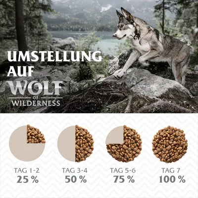 Umstellung auf Wolf of Wilderness: Fütterungsanleitung mit schrittweiser Erhöhung des Anteils. Tag 1-2: 25%, Tag 3-4: 50%, Tag 5-6: 75%, Tag 7: 100%.