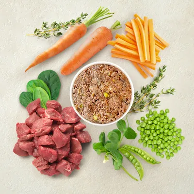 Zutaten: frisches Rindfleisch, Karotten, Erbsen, Spinat und Kräuter. Schüssel mit Nassfutter aus den genannten Zutaten.