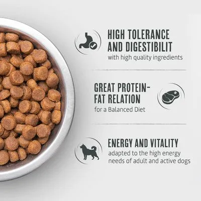 Briantos Adult Active Hondenvoer