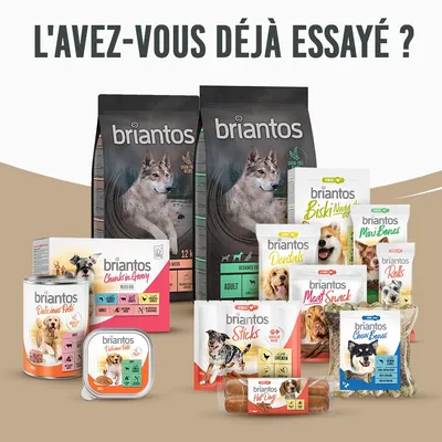 Gamme de produits briantos pour chiens : croquettes, pâtées, friandises et os à mâcher. Texte en haut : L'AVEZ-VOUS DÉJÀ ESSAYÉ ? Marques et noms visibles sur les emballages.