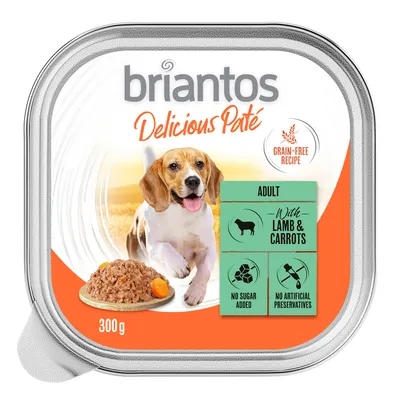 briantos Delicious Paté, recette sans céréales, 300 g, pour chien adulte, avec agneau et carottes, sans sucre ajouté, sans conservateurs artificiels
