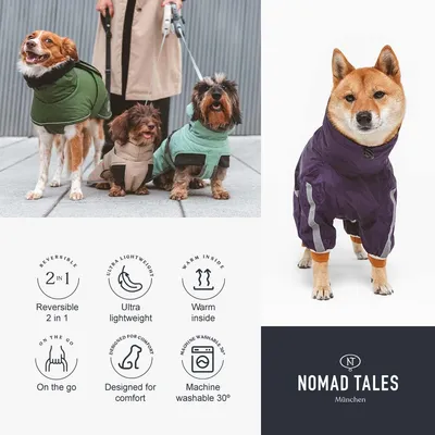 Cuatro perros llevan diferentes prendas para perros. Símbolos con texto: Reversible 2 en 1, Ultraligero, Interior cálido, Para llevar, Diseñado para la comodidad, Lavable a máquina a 30°. Nomad Tales München. Cuatro perros llevan diferentes prendas para perros. Símbolos con texto: Reversible 2 en 1, Ultraligero, Interior cálido, Para llevar, Diseñado para la comodidad, Lavable a máquina a 30°. Nomad Tales München.