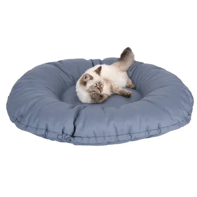 Ronde, gevoerde kattenligplaats in blauw met een kat erop liggend.