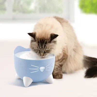 Gato a beber de uma fonte de água azul em forma de gato com patas e bigodes brancos. Produto mostra o uso da fonte para animais de estimação.