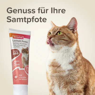beaphar Lachsöl Paste mit Omega 3 & 6, DHA unterstützt die Sehkraft, Genuss mit Lachsöl, 0% Zuckerzusatz. Text: Genuss für Ihre Samtpfote. Abgebildet ist eine Katze.