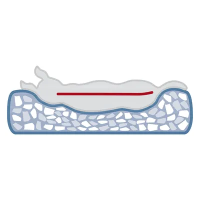 Ilustrace zvířete na ortopedické matraci s paměťovou pěnou a ergonomickou podporou označenou červenou linií.